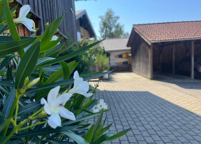 Apartment Wohlfühlplatzl - urgemütlich&ruhig