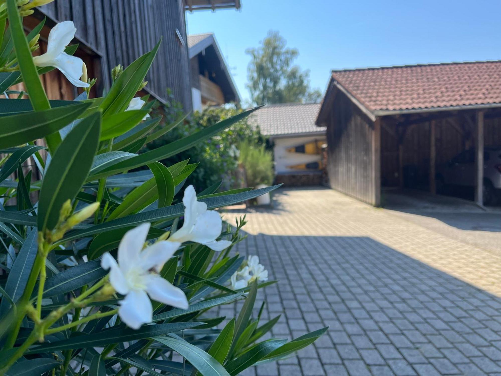 Apartment Wohlfühlplatzl - Urgemütlich&ruhig